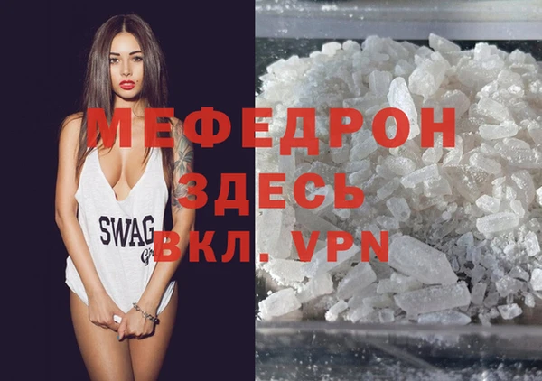 spice Богородицк