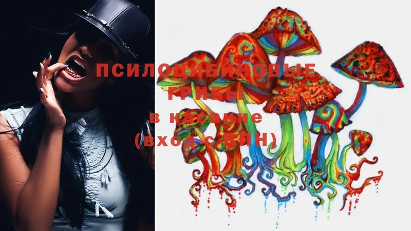 Галлюциногенные грибы Magic Shrooms  как найти закладки  Билибино 